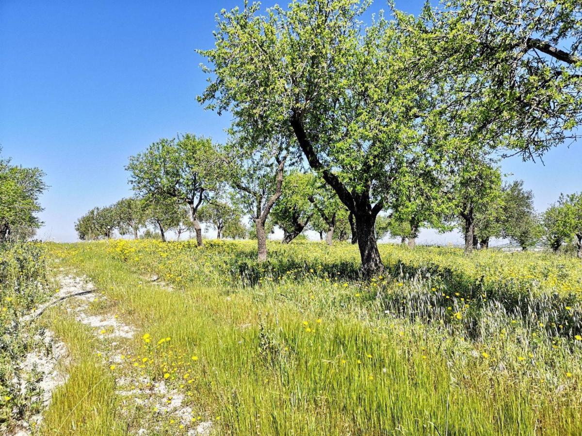 Mennuli&Alivi - Organic Farm Villa Noto Esterno foto