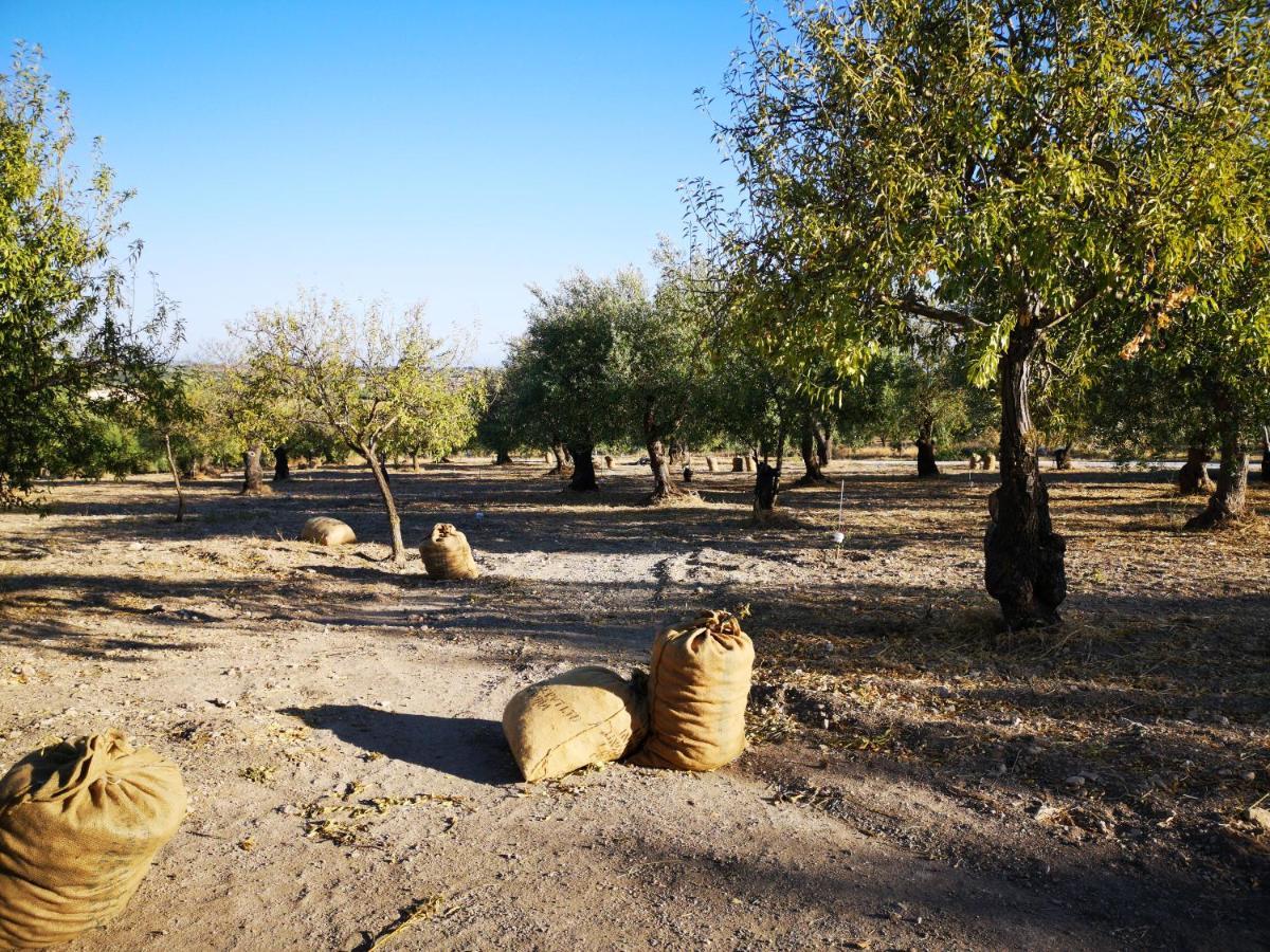Mennuli&Alivi - Organic Farm Villa Noto Esterno foto